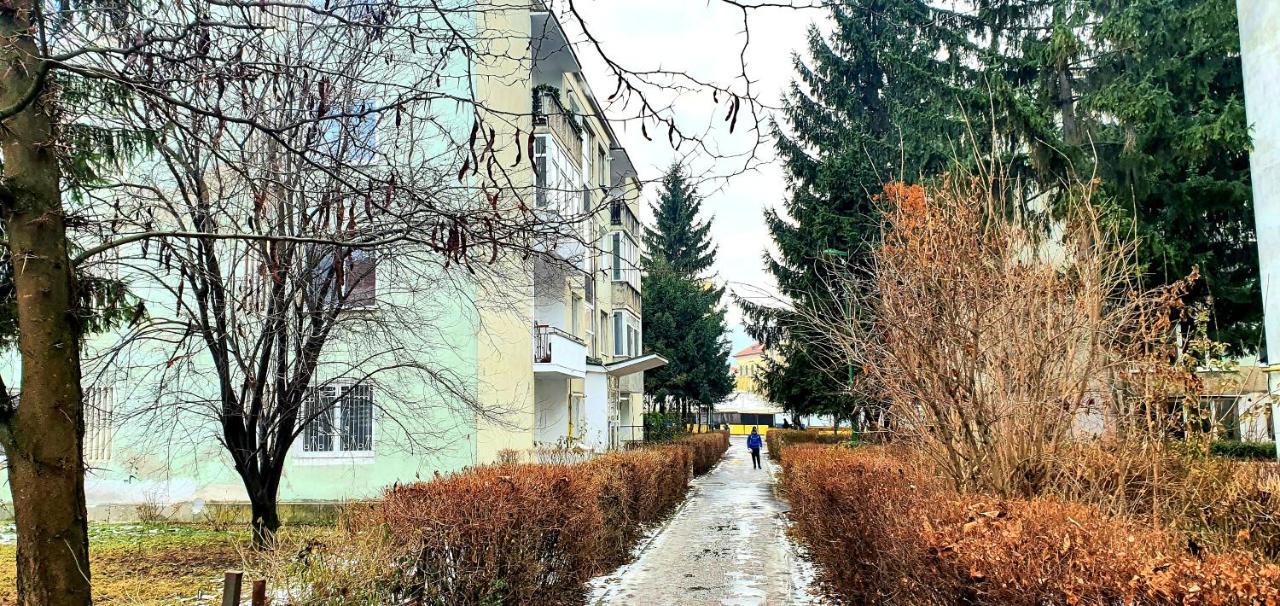 5 Min To Everything-Stylish-Modern-Old City Center Braşov Exterior foto